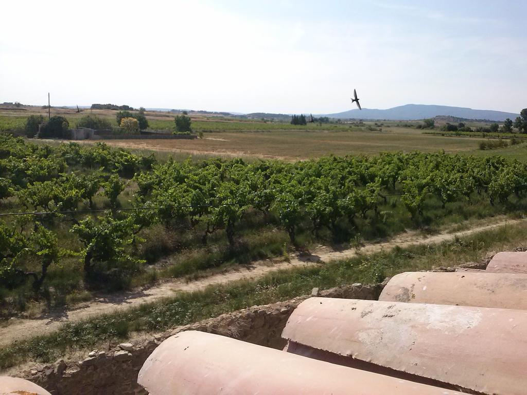 Chambre D'Hotes Le Massanous Laure-Minervois Номер фото